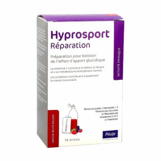 Pileje Hydrosport Reparatie