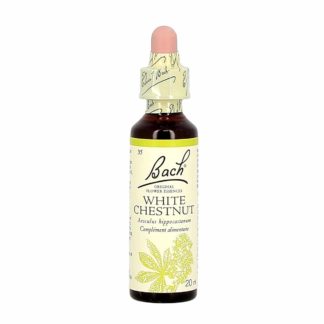 Bach bloesem witte kastanje