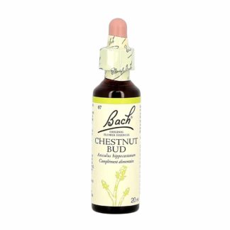 Bach bloesemremedies Chestnut Bud