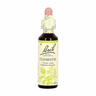 Bach bloesemremedies Clematis