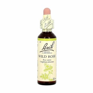Bach bloesemremedies wilde roos/glantine