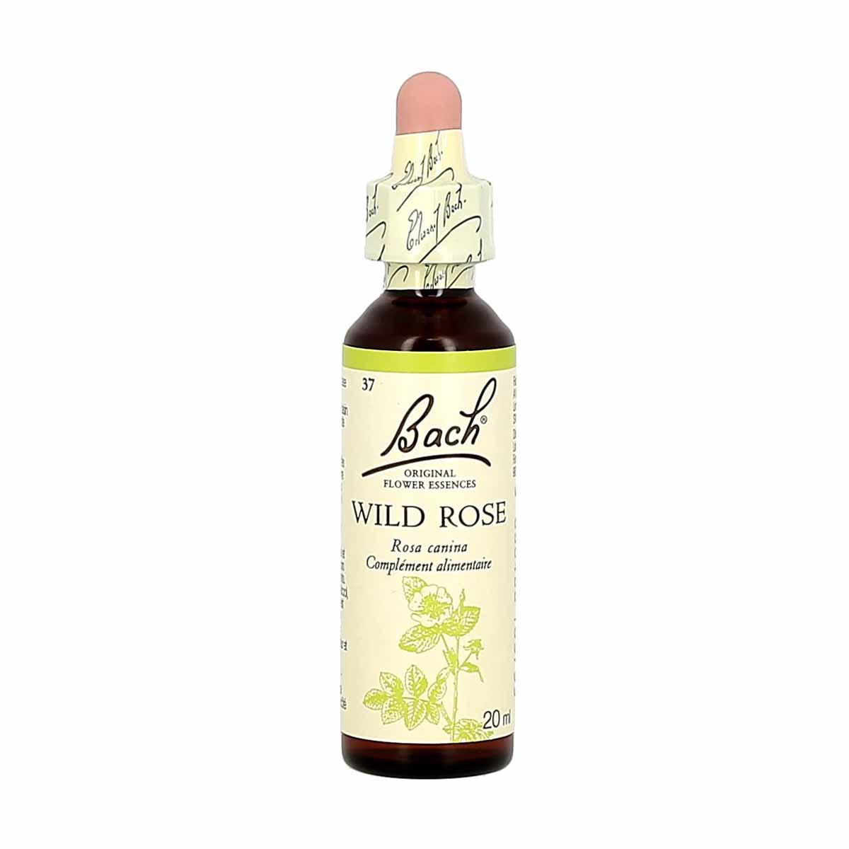 Bach bloesemremedies wilde roos/glantine