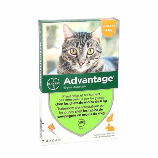 Advantage 40 Vlooienbestrijding Katten en Konijnen ≤ 4kg