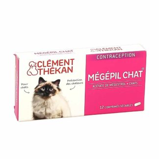 Clement Thekan chat