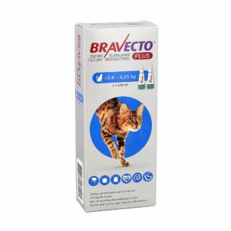 Bravecto Plus Chat de 2