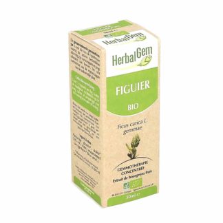 Herbalgem Figuier Bio