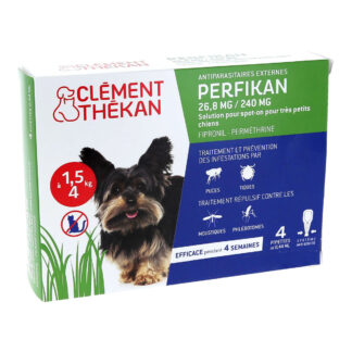 Clément Thékan Perfikan 26