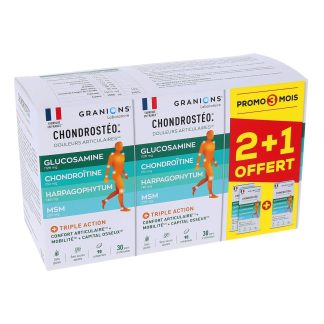 Granions Chondrostéo +