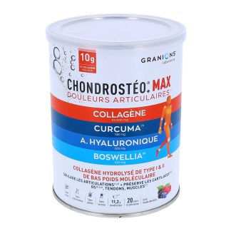 Granions Chondrostéo + Max